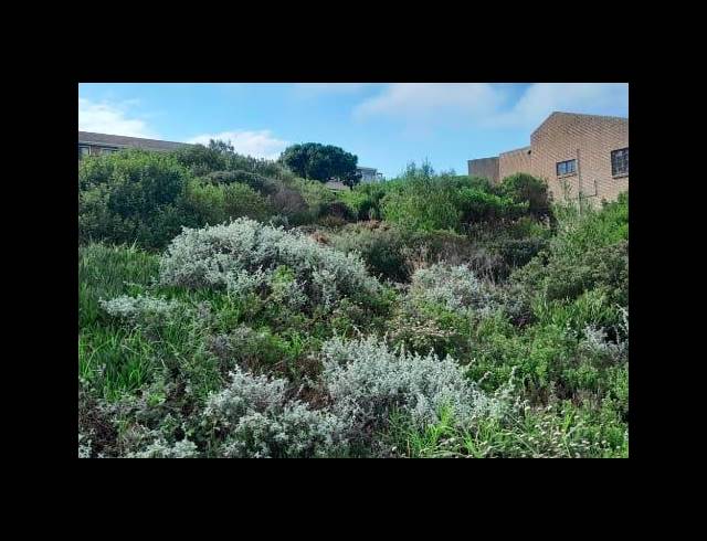 LAND FOR SALE IN DANA BAY